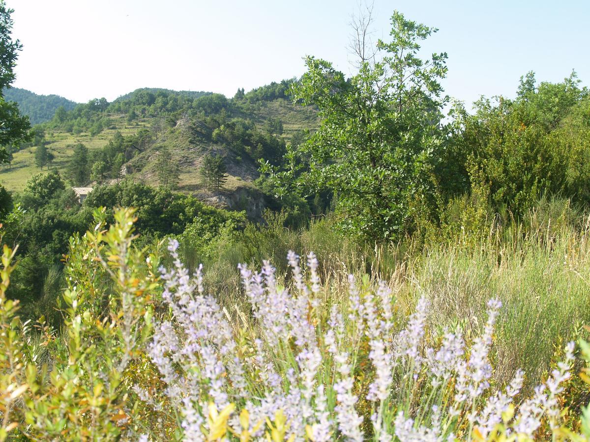 Camping Panoramique Du Verdon Castellane Dış mekan fotoğraf