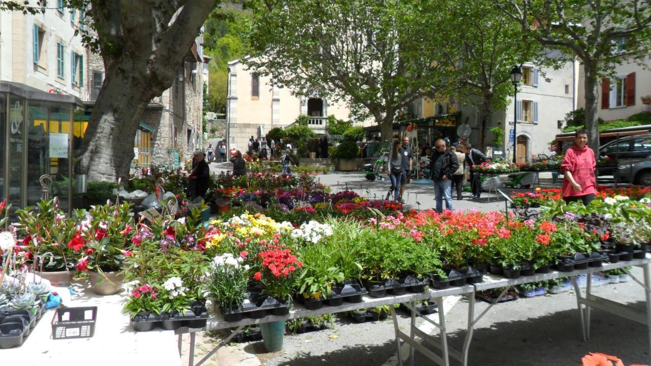 Camping Panoramique Du Verdon Castellane Dış mekan fotoğraf